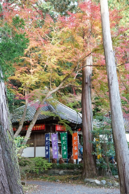 赤山禅院の概要